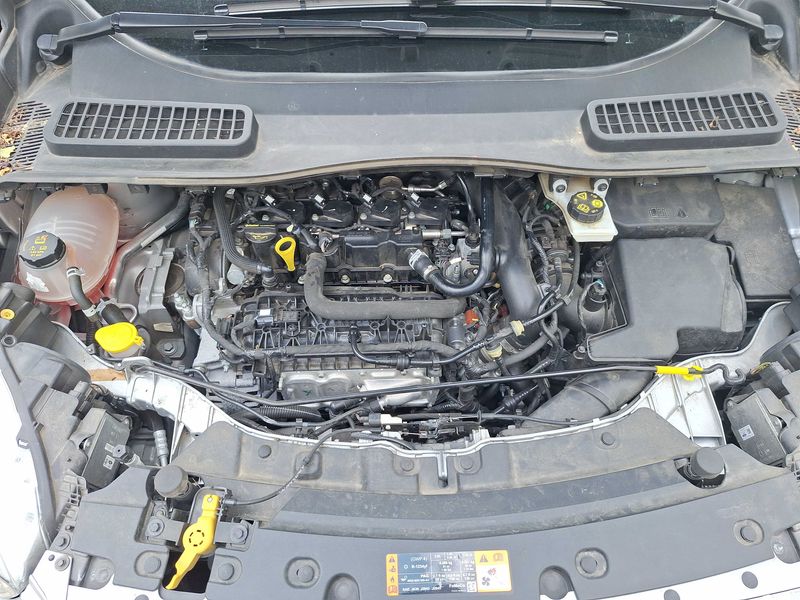 Ford Kuga 1.5 EcoBoost Business Nav — zdjęcie 8