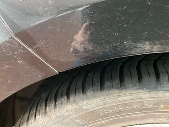 Fender rear