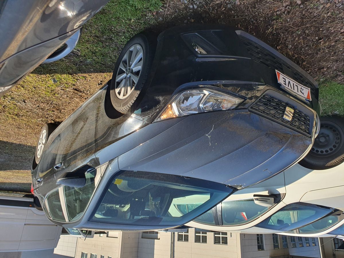 Seat Ibiza d'occasion