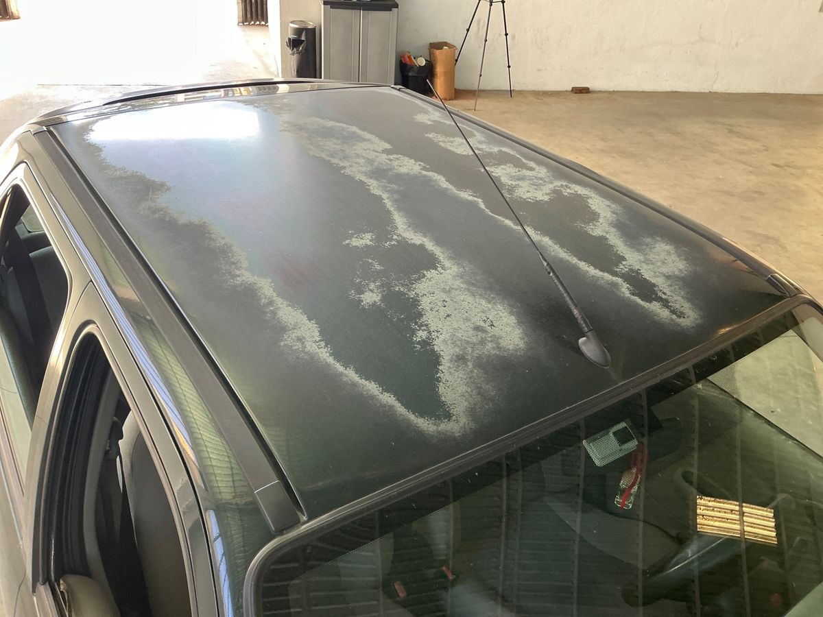 Ford Fiesta 1998 — photo 20