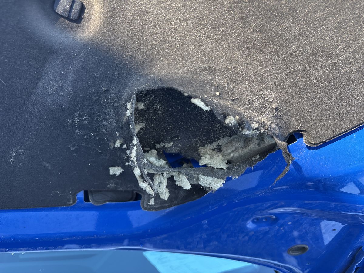 Skoda Octavia d'occasion