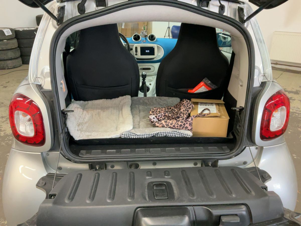 Smart fortwo 2015 — photo 16