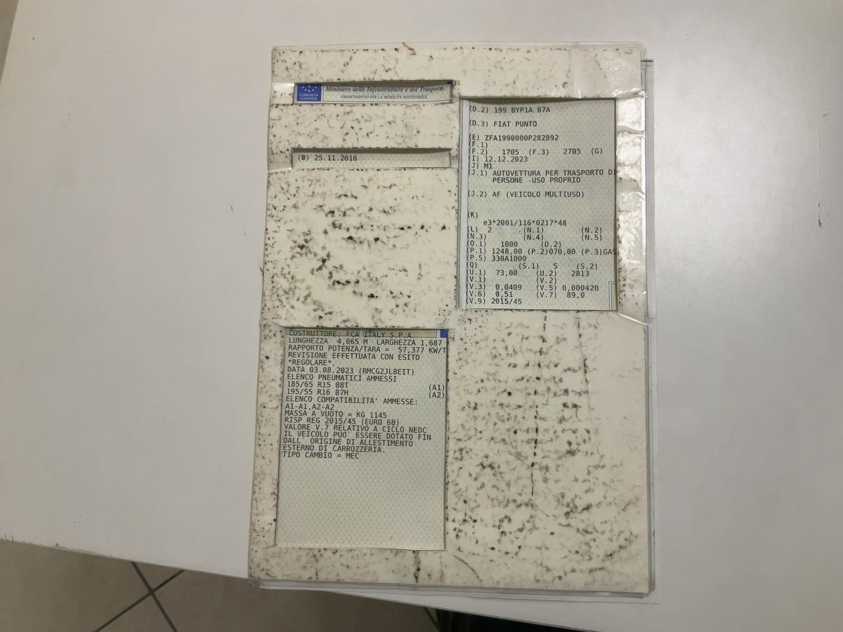 Fiat Punto d'occasion