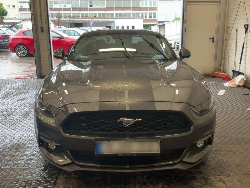Ford Mustang 2.3 EcoBoost Basis — zdjęcie 9