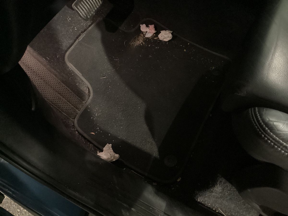 Volvo XC40 2023 — photo 3