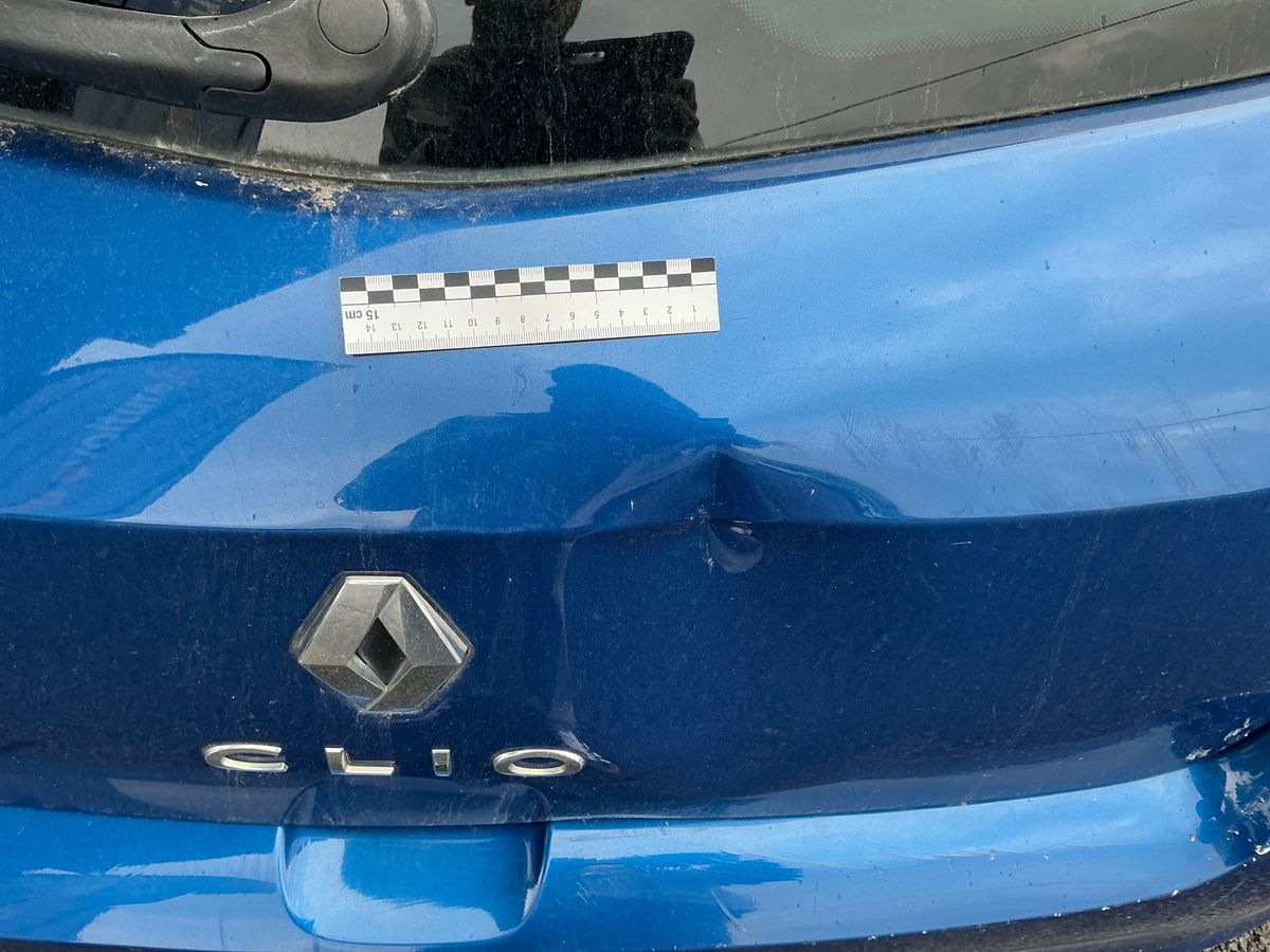 Renault Clio 2010 — photo 45