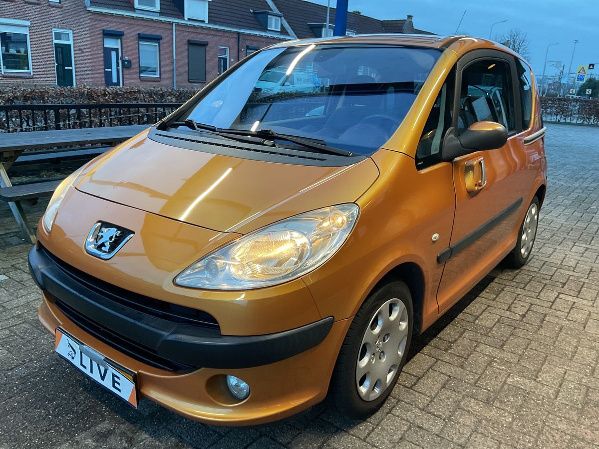 Peugeot 1007 d'occasion