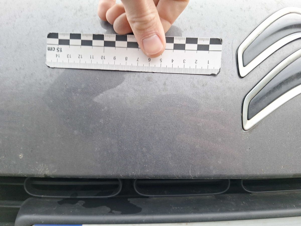 Citroen C4 2017 — photo 60