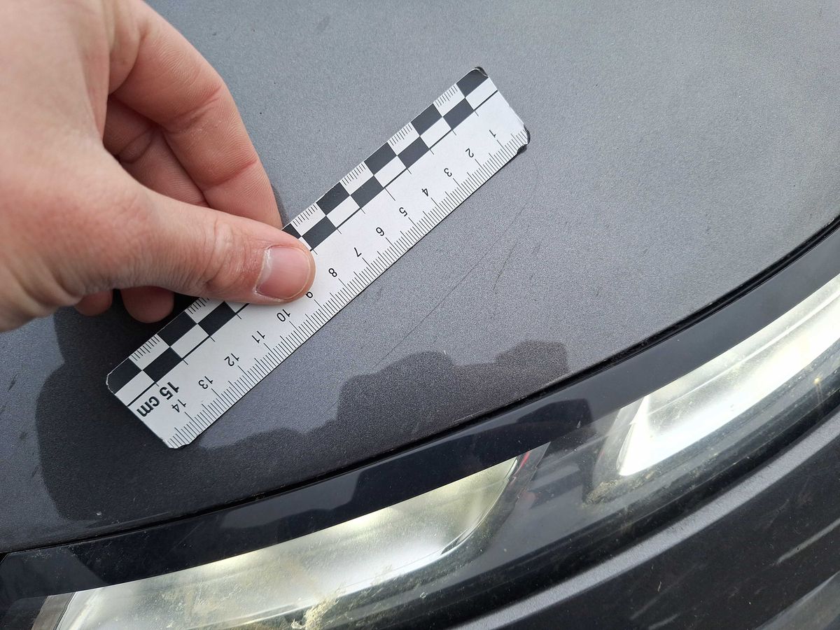 Citroen C4 2017 — photo 57