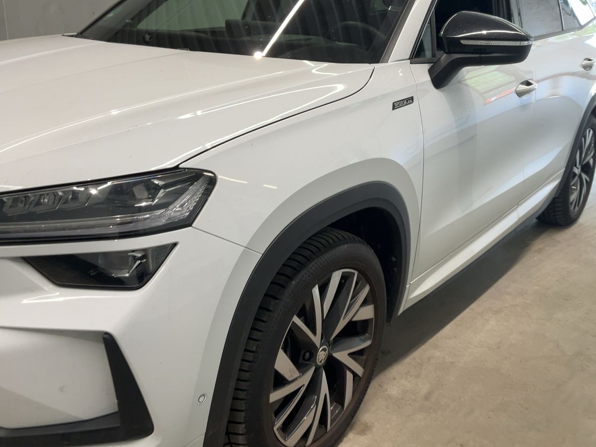 Skoda Kodiaq d'occasion