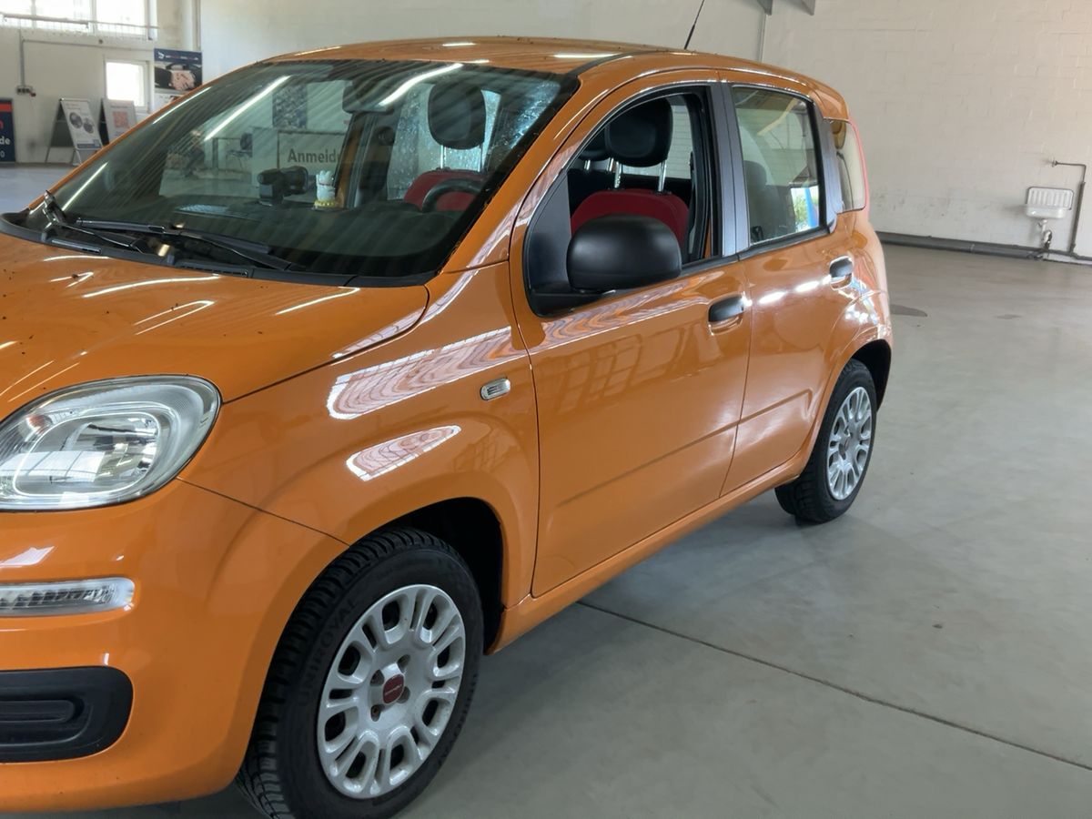 Fiat Panda d'occasion