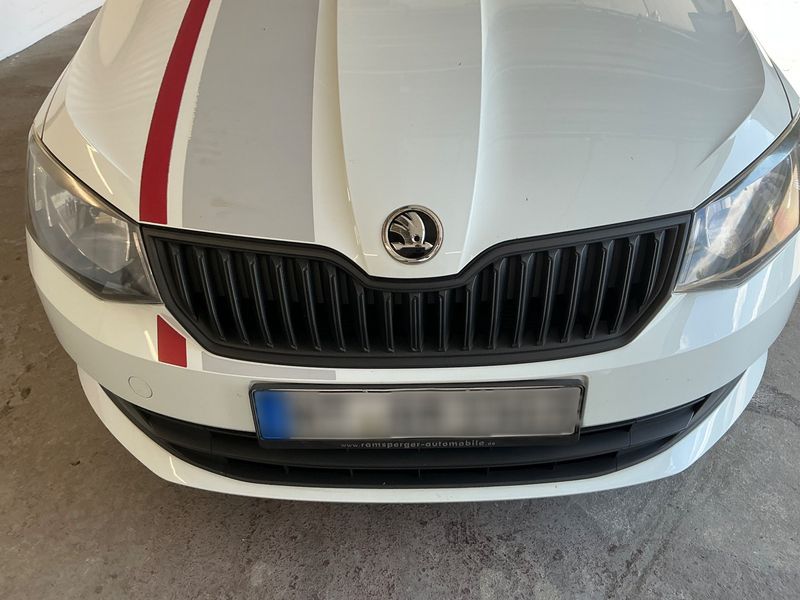 Skoda Fabia 1.4 TDI Red & Grey 2016 – снимка 28