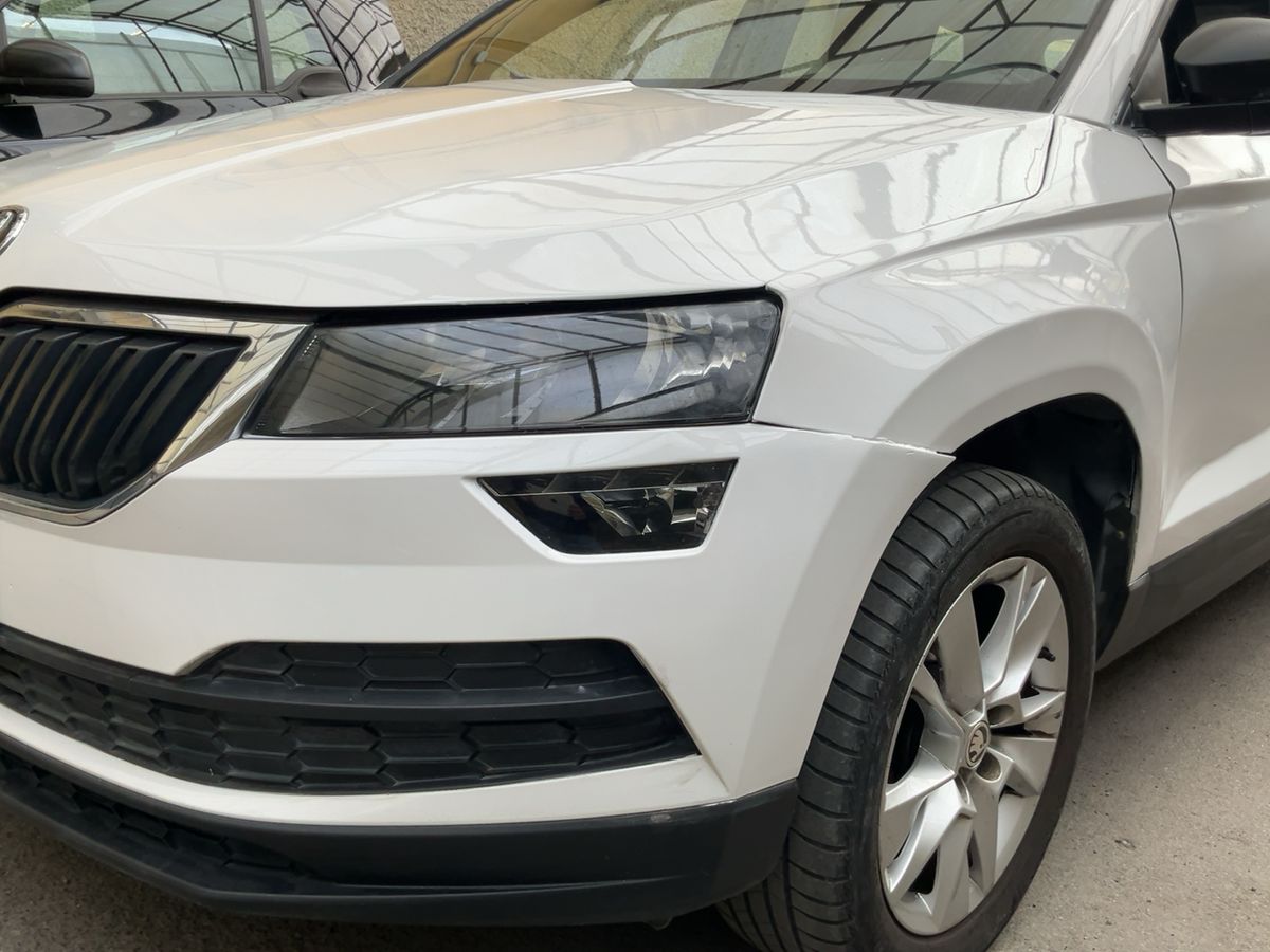 Skoda Karoq d'occasion