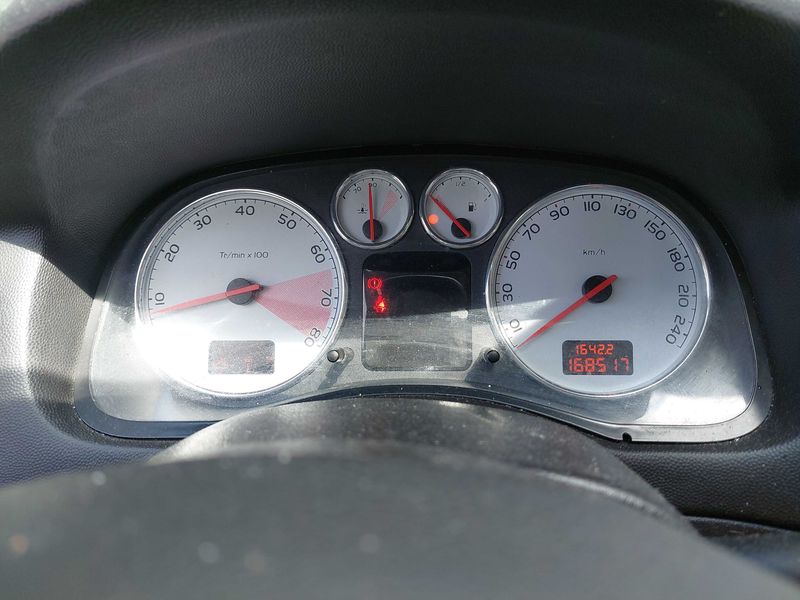 Peugeot 307 2.0 Basis — zdjęcie 12