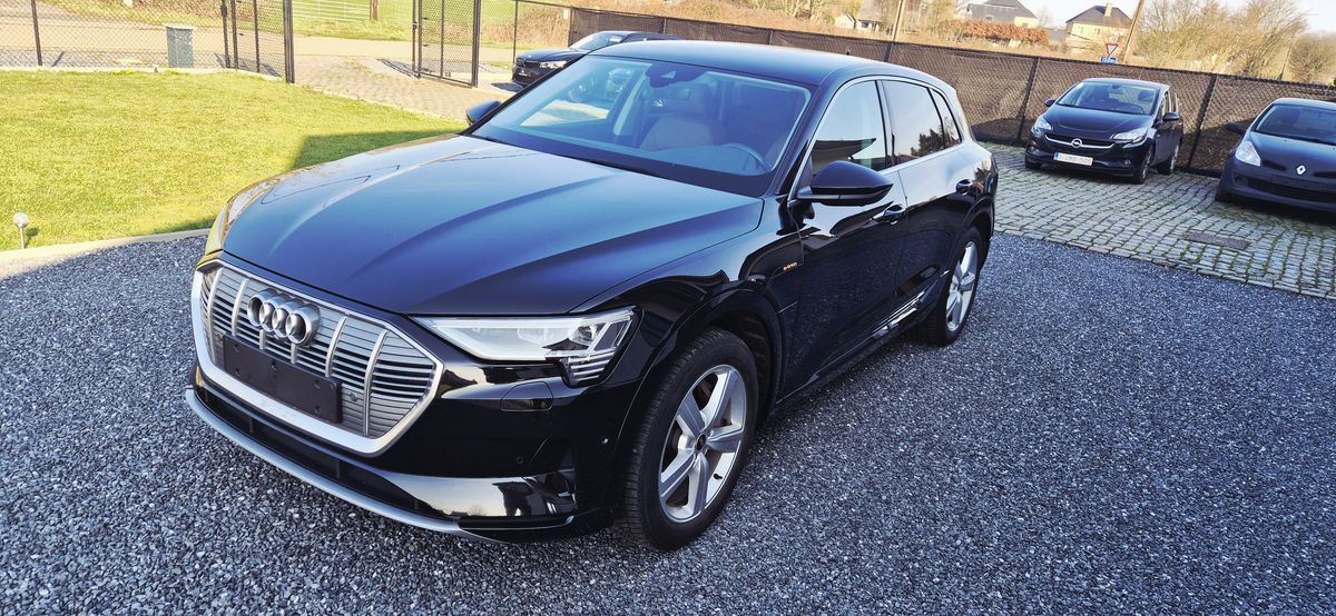 Audi e-tron d'occasion