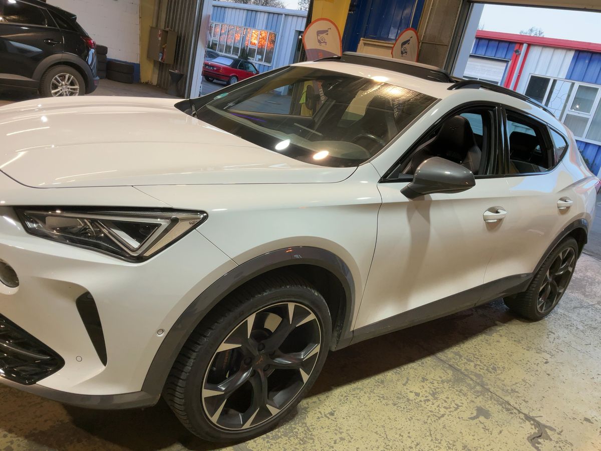 Cupra Formentor d'occasion