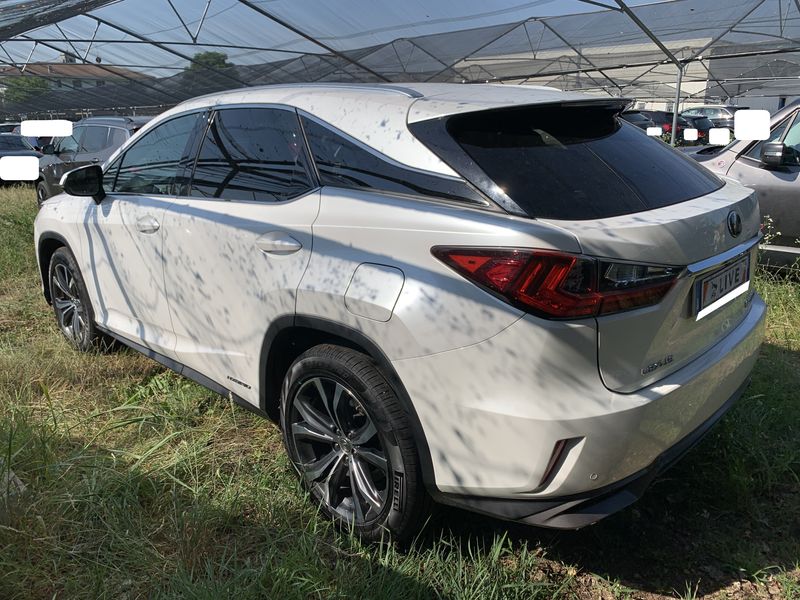 Lexus RX-Serie RX 450h Executive AWD — zdjęcie 3