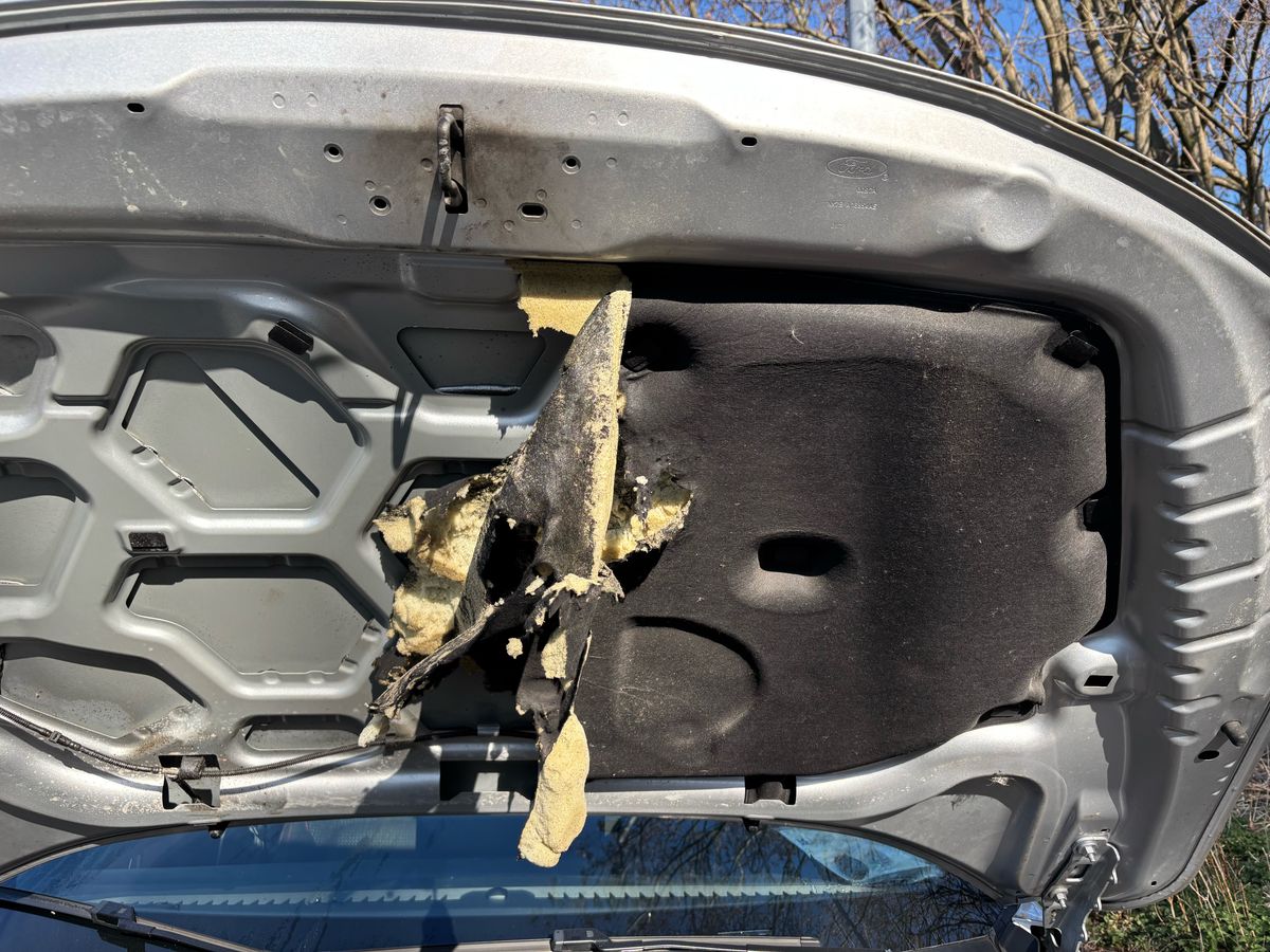 Ford Focus d'occasion