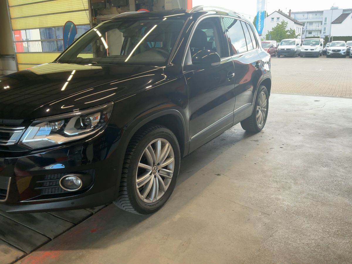 Volkswagen Tiguan d'occasion