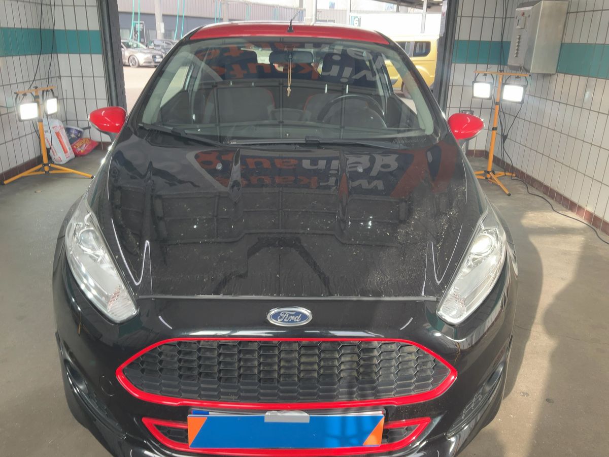 Ford Fiesta 2014 — photo 15