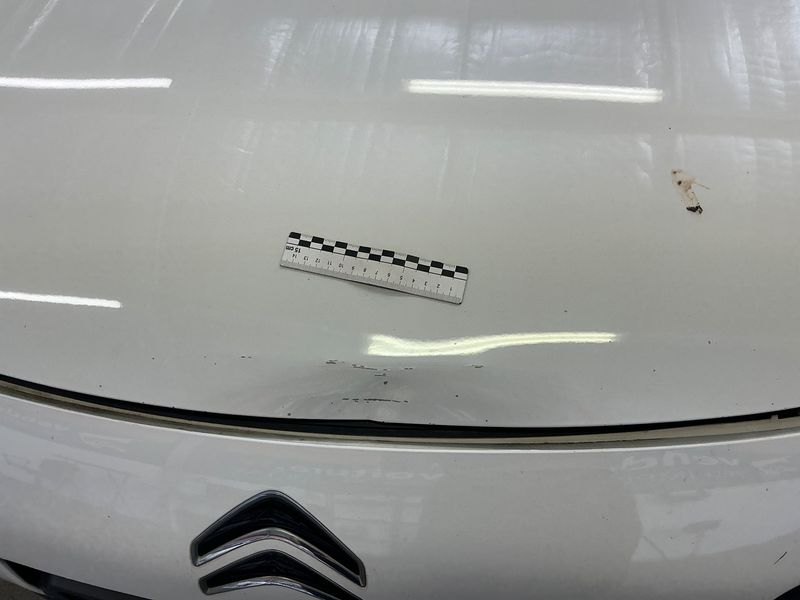 Citroen C4 Cactus 1.6 Blue-HDi Feel Business Société 2017 – снимка 49