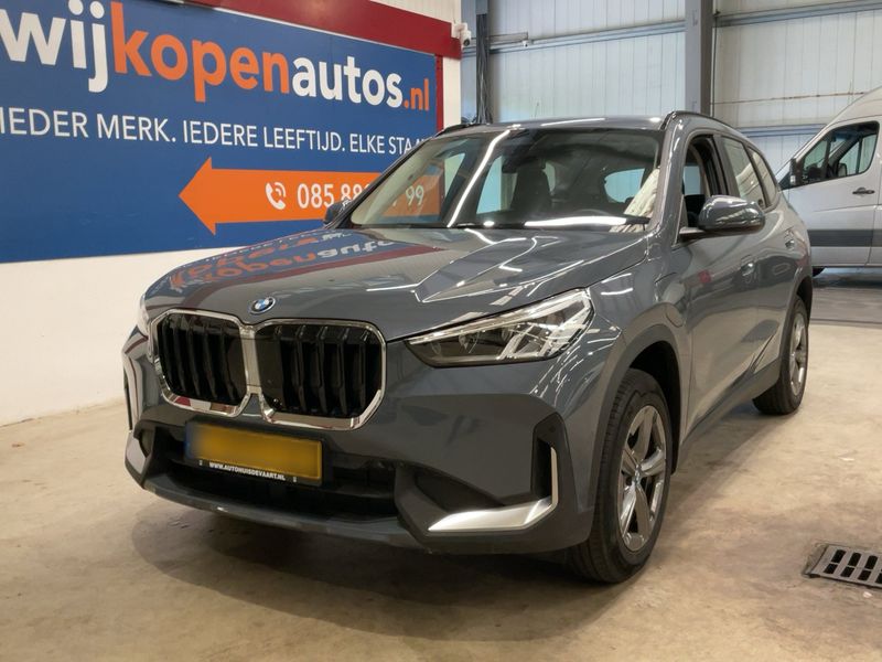 X1 xDrive 30e