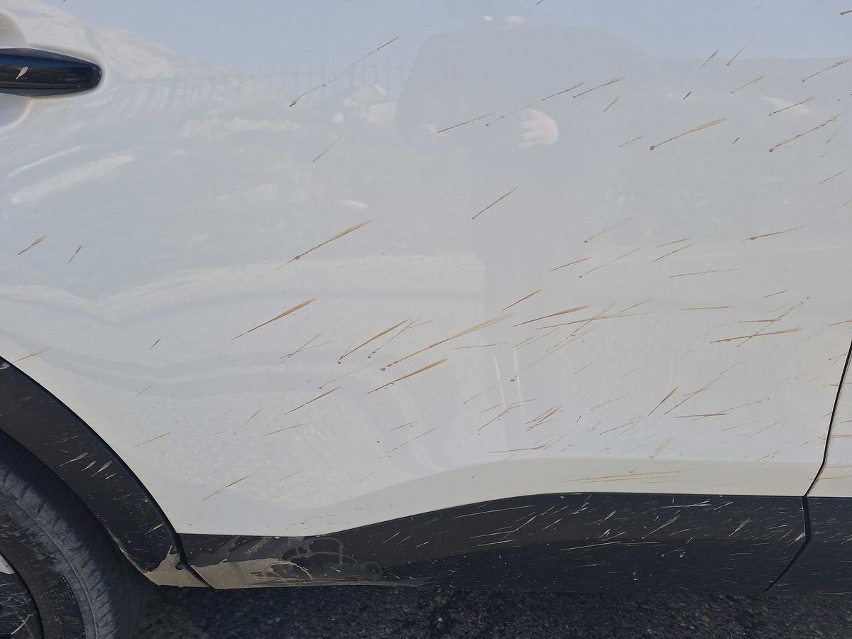 Citroen C4 2022 — photo 22