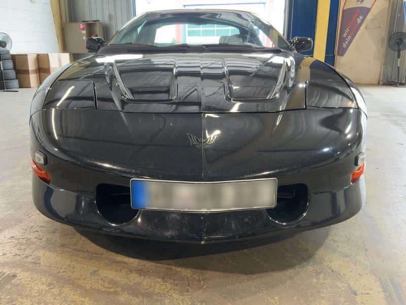 Pontiac Firebird 5.7 V8 Trans AM — zdjęcie 9