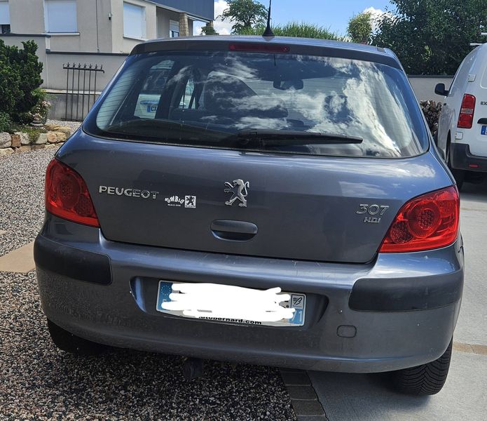 Peugeot 307 1.6 HDi Confort Pack — zdjęcie 4
