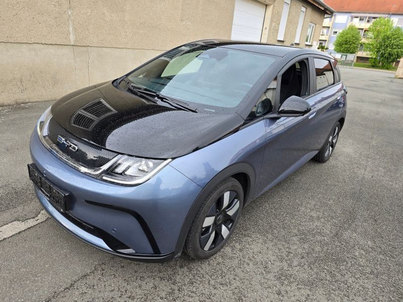 BYD Dolphin 2024