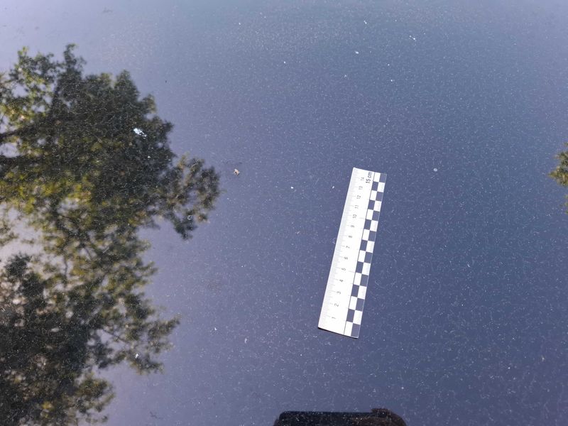 Peugeot 3008 1.6 Blue-HDi Allure 2017 – снимка 117