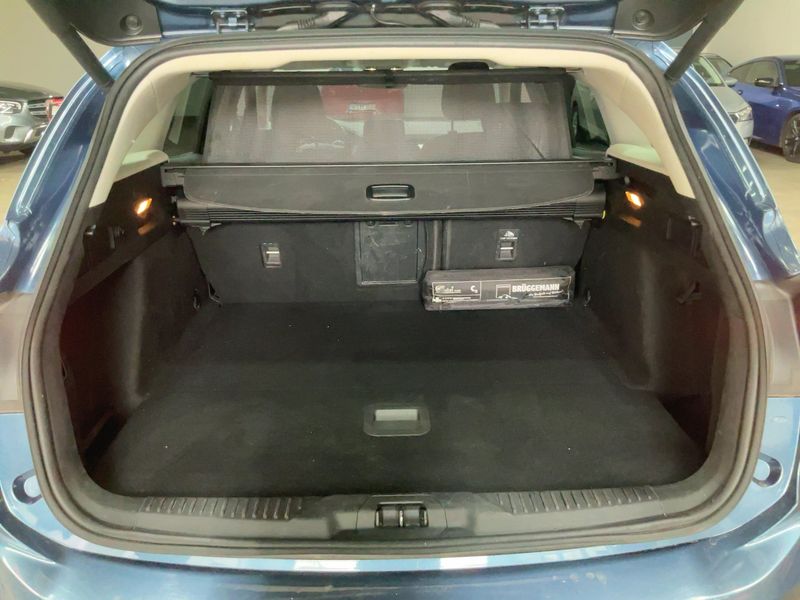 Ford Focus 1.5 TDCi EcoBlue Titanium 2019 – снимка 15