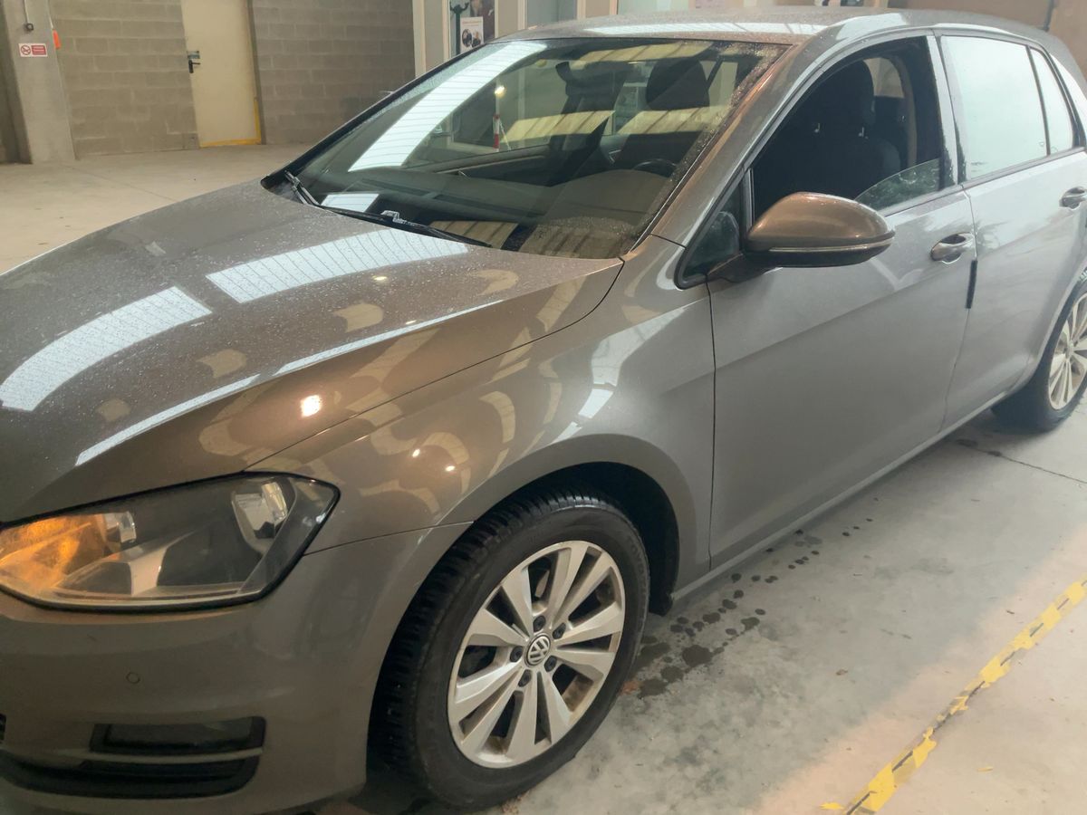 Volkswagen Golf VII 1.6 TDI Comfortline BlueMotion Tech