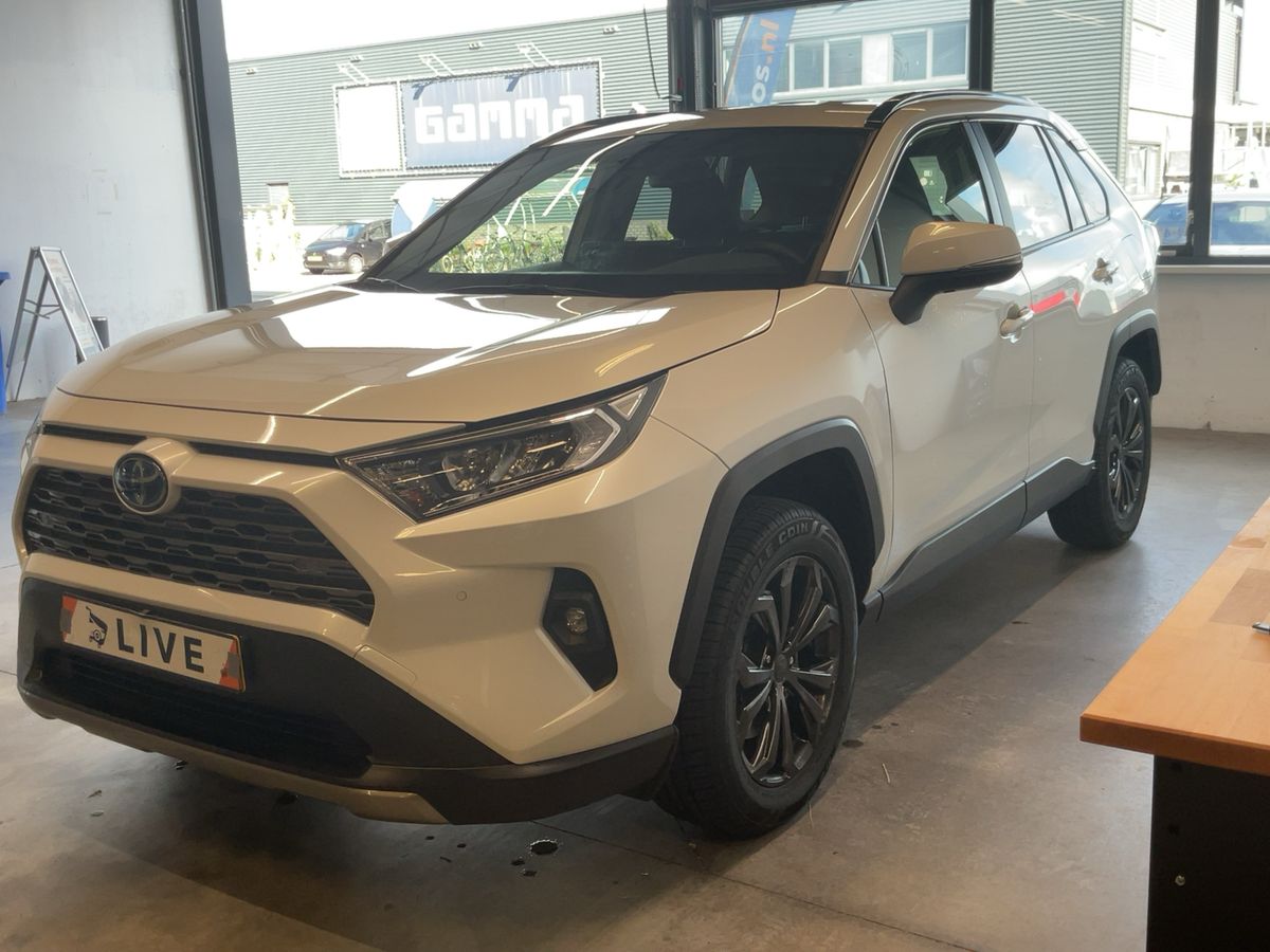 Toyota RAV 4 2.5 Hybrid 4x2 Business