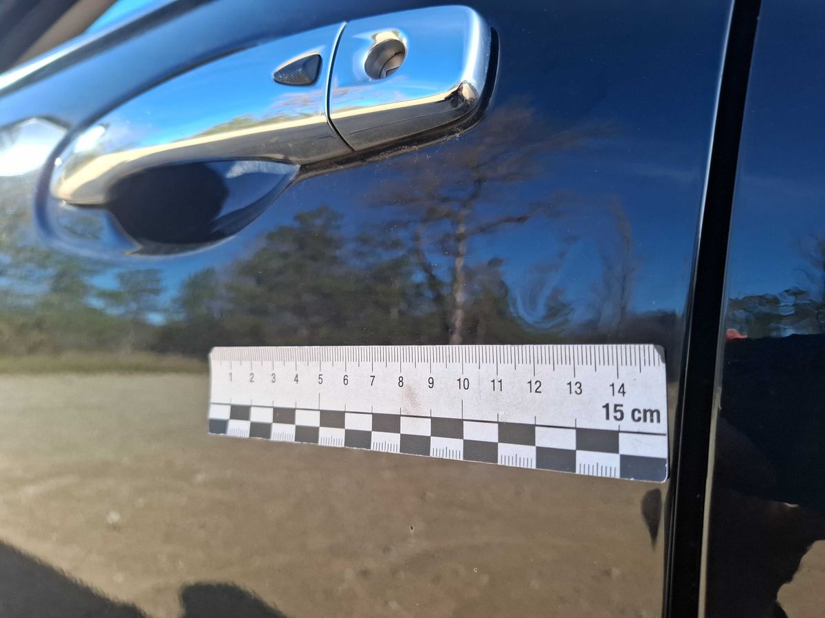 Renault Koleos 2019 — photo 72