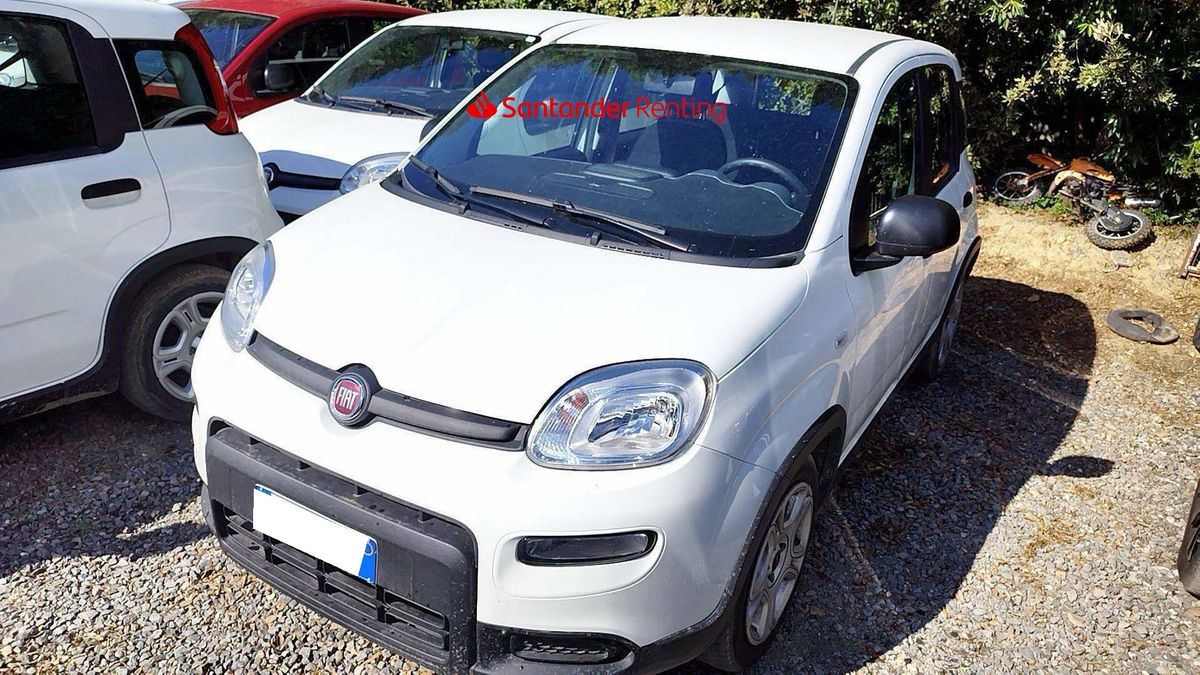 Fiat Panda d'occasion