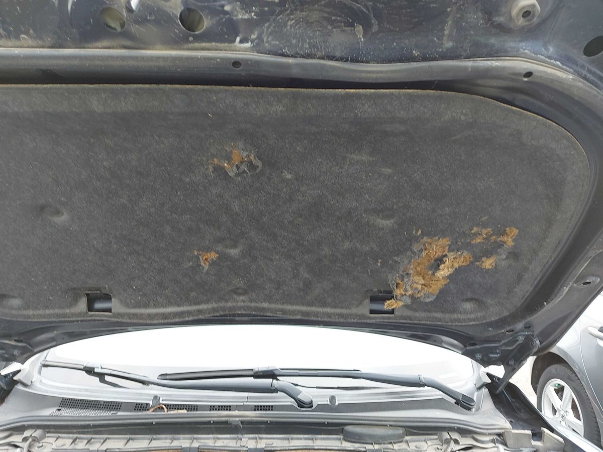 Mazda 6 2.0 Center-Line