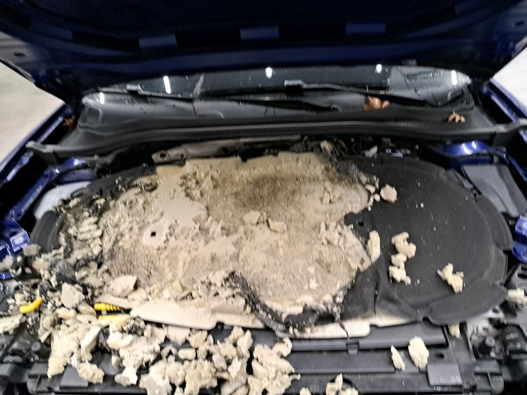 Seat Leon d'occasion