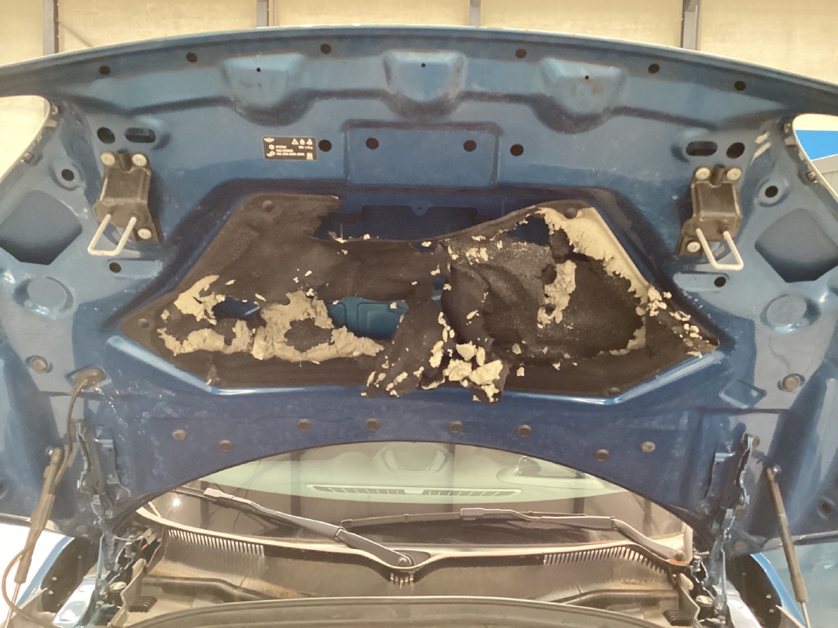 MINI Countryman 2022 — photo 3