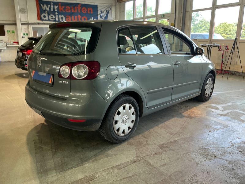 Volkswagen Golf V Plus 1.6 FSI Comfortline — zdjęcie 2