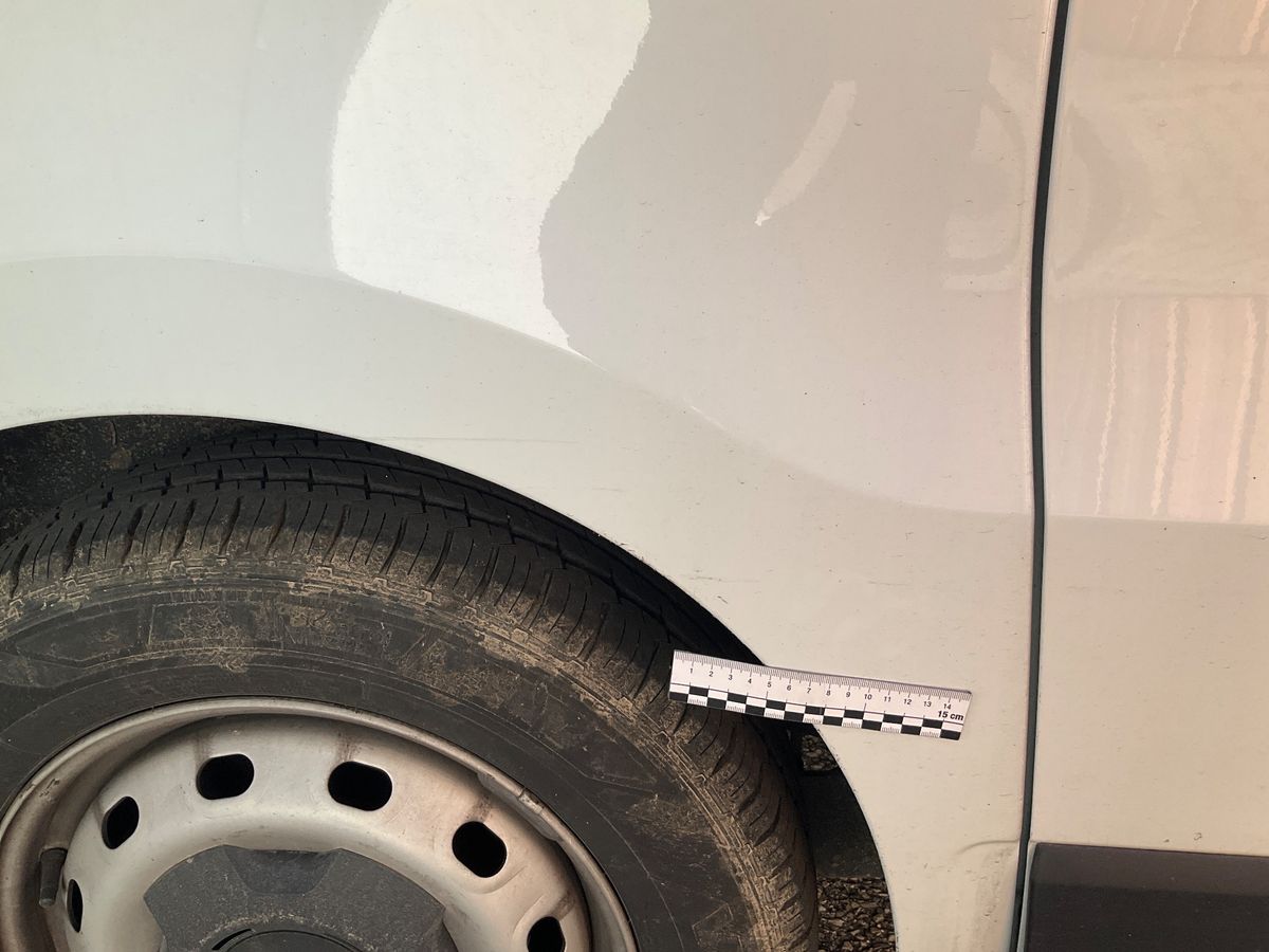 Renault Trafic 2017 — photo 31