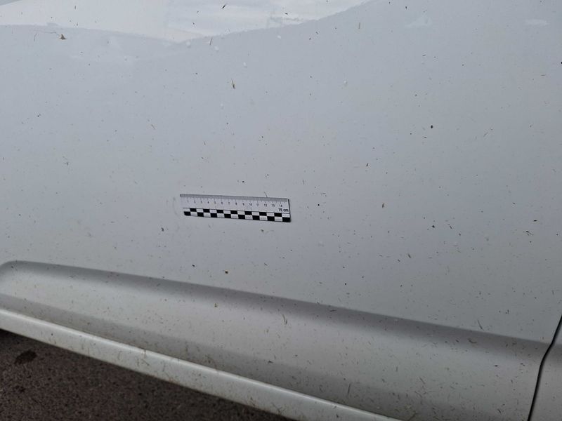 Citroen C3 1.0 VTi Confort 2015 – снимка 50