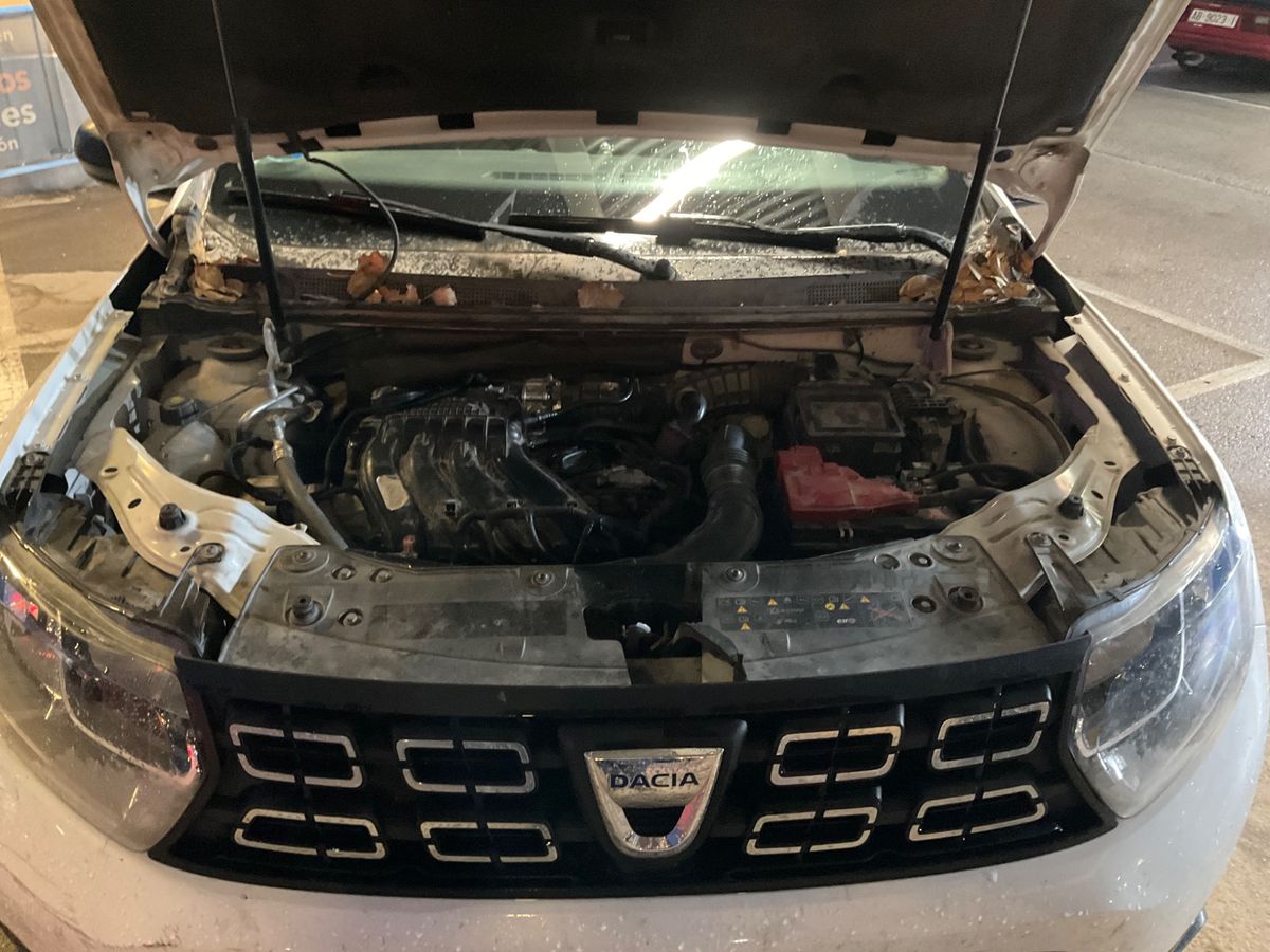 Dacia Duster 2019 — photo 43