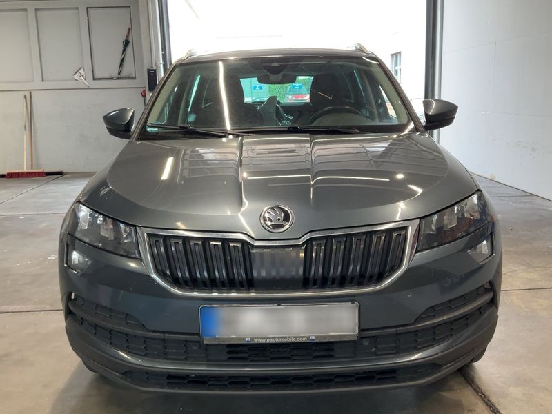Skoda Karoq 1.6 TDI Ambition 2019 – снимка 14