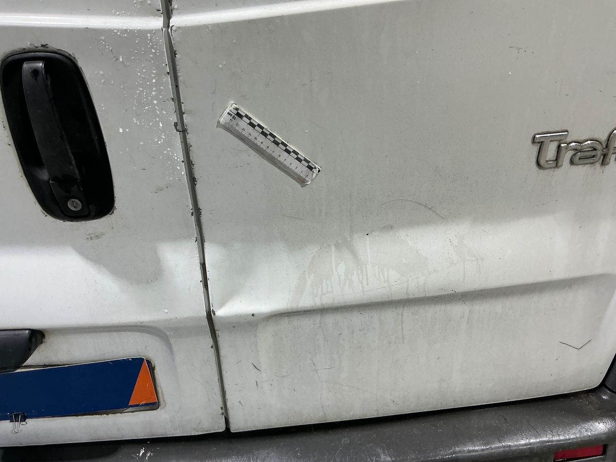 Renault Trafic 2009 — photo 63