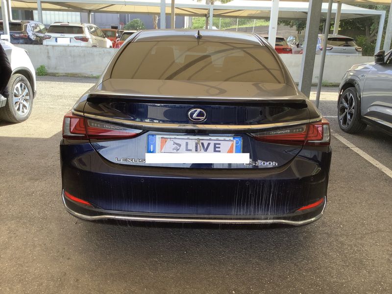 Lexus ES-Serie ES 300h Executive Line — zdjęcie 4