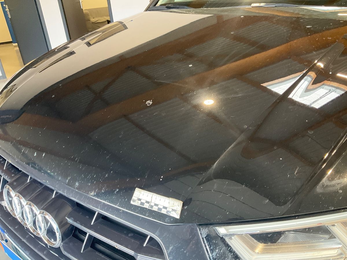 Audi Q5 2019 — photo 3