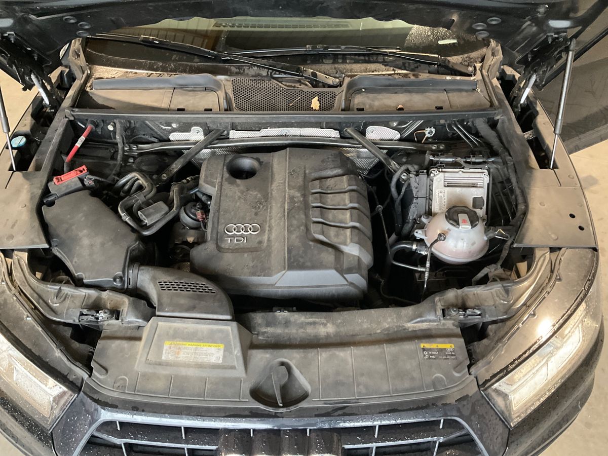 Audi Q5 2019 — photo 26