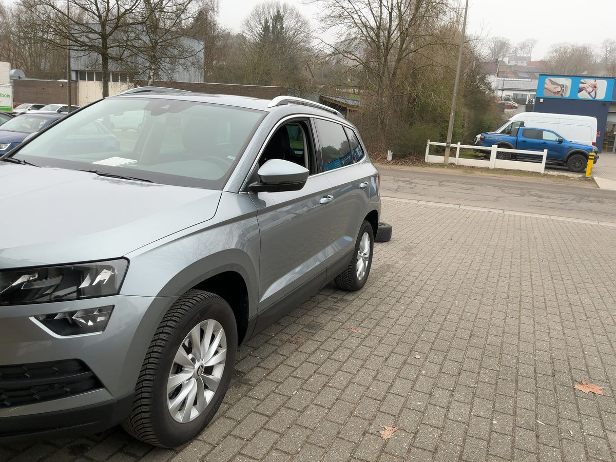 Skoda Karoq d'occasion