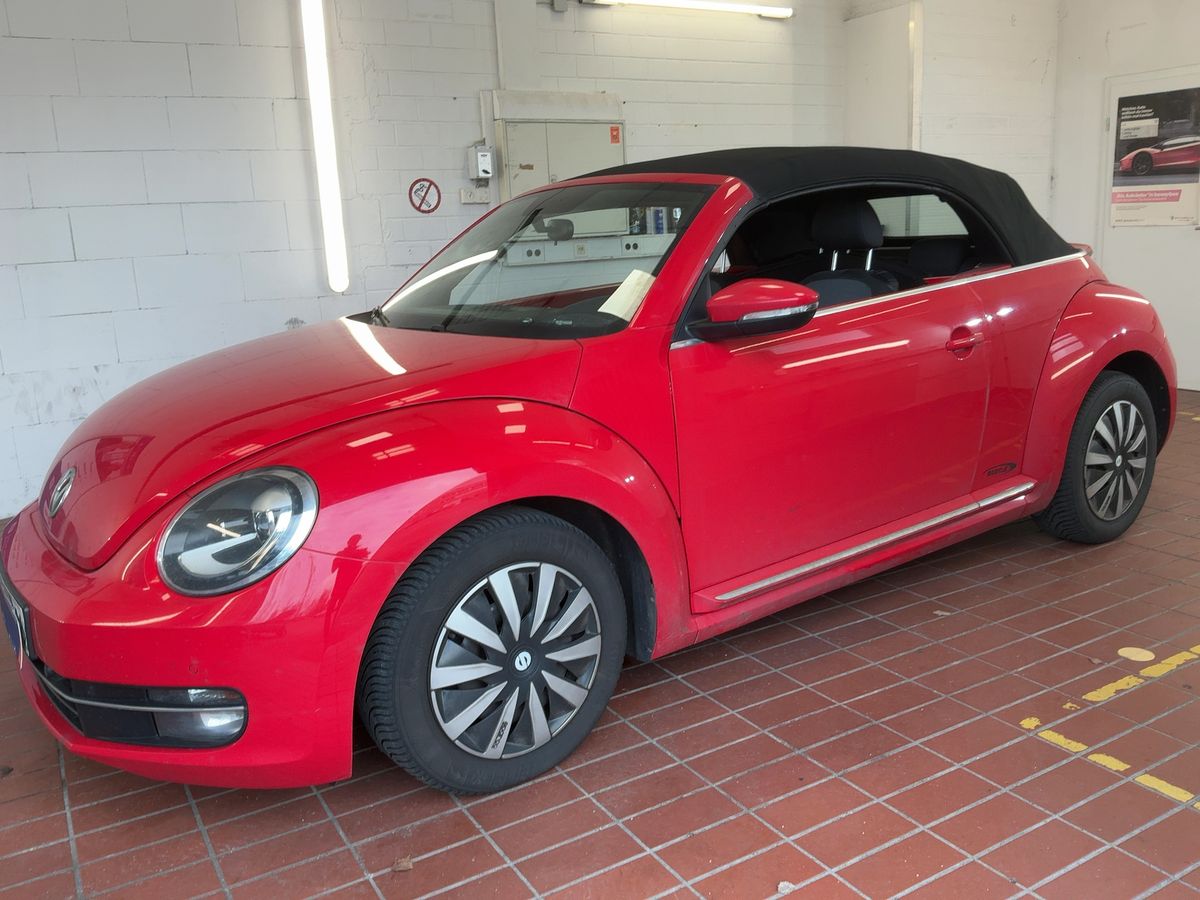 Volkswagen Beetle d'occasion